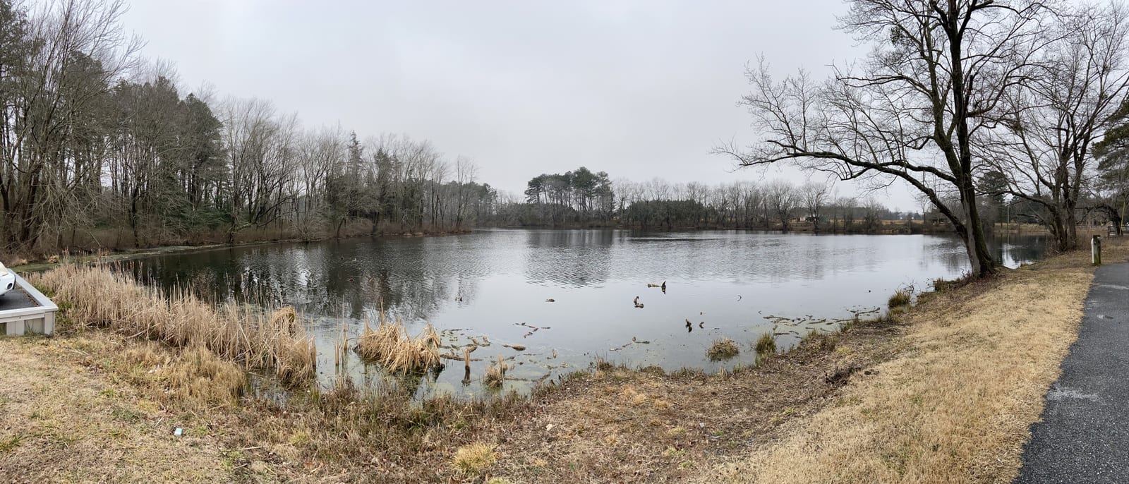 Pond at Abbott's Mill Nature Center