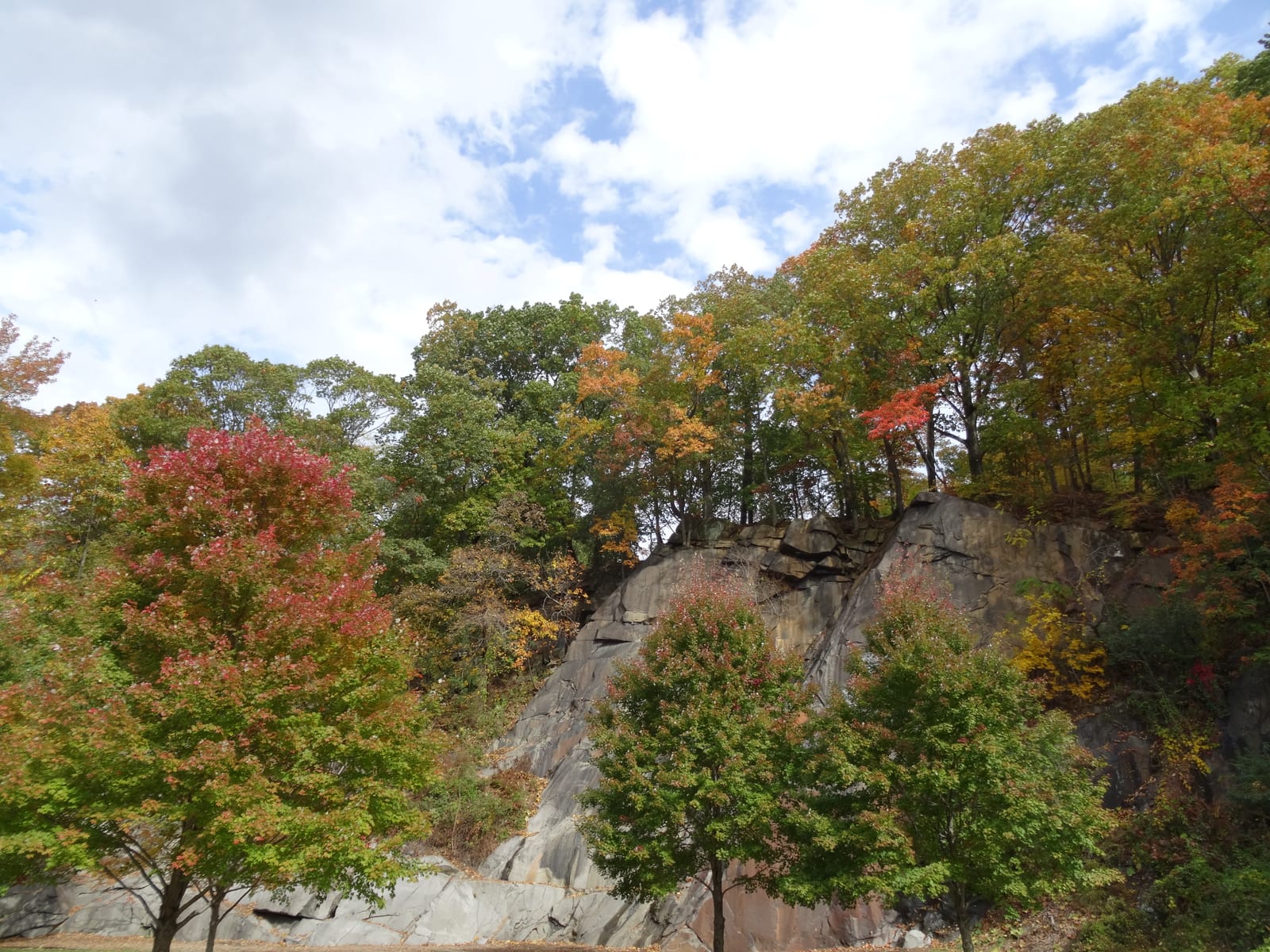 A climber on the quarry rock-climbing wall at Alapocas Run State Park, Wilmington, Delaware