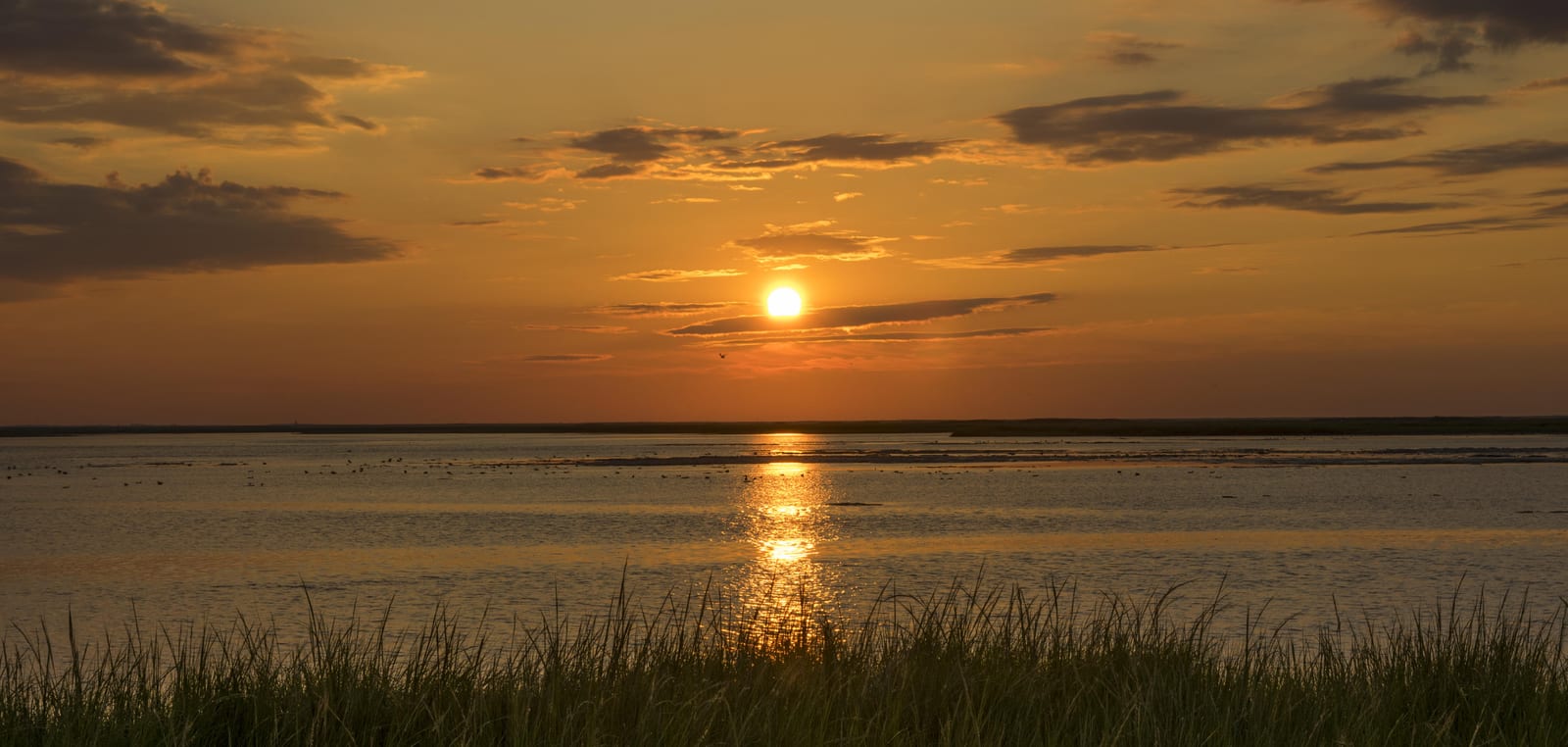 Tidal salt marsh at sunrise at Bombay Hook National Wildlife Refuge, Smyrna, Delaware