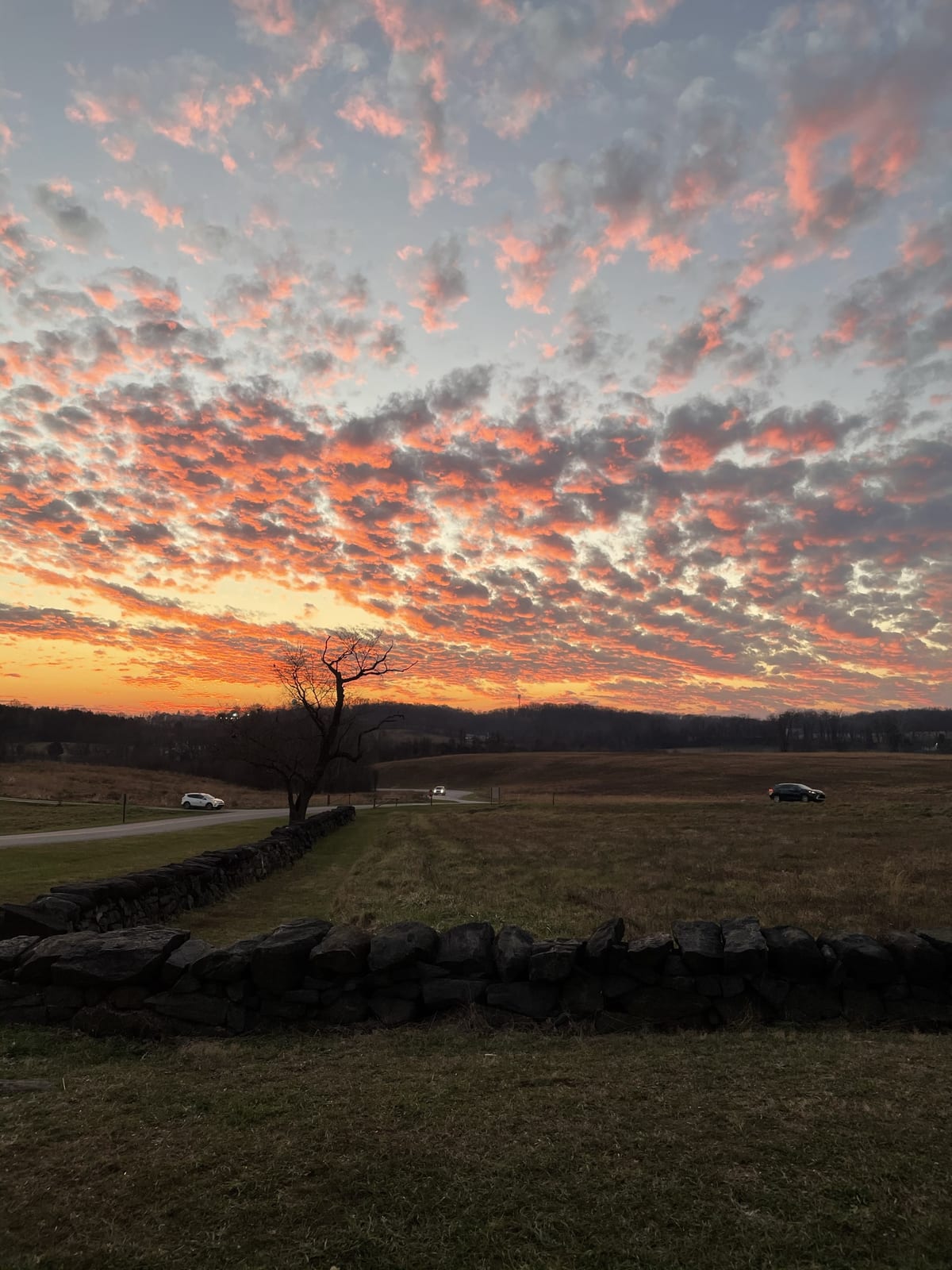 Sunset over the meadows and stone walls at Brandywine Creek State Park
