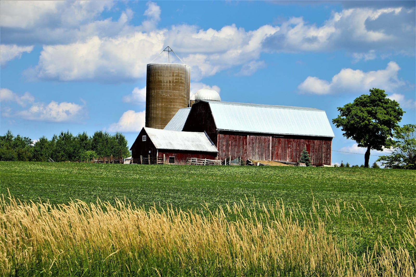 Brown wooden barn in a green grass field under blue sky