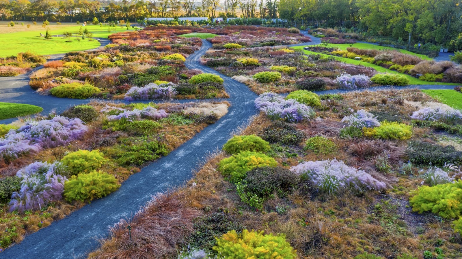 Aerial view of the meadow garden in bloom at Delaware Botanic Gardens