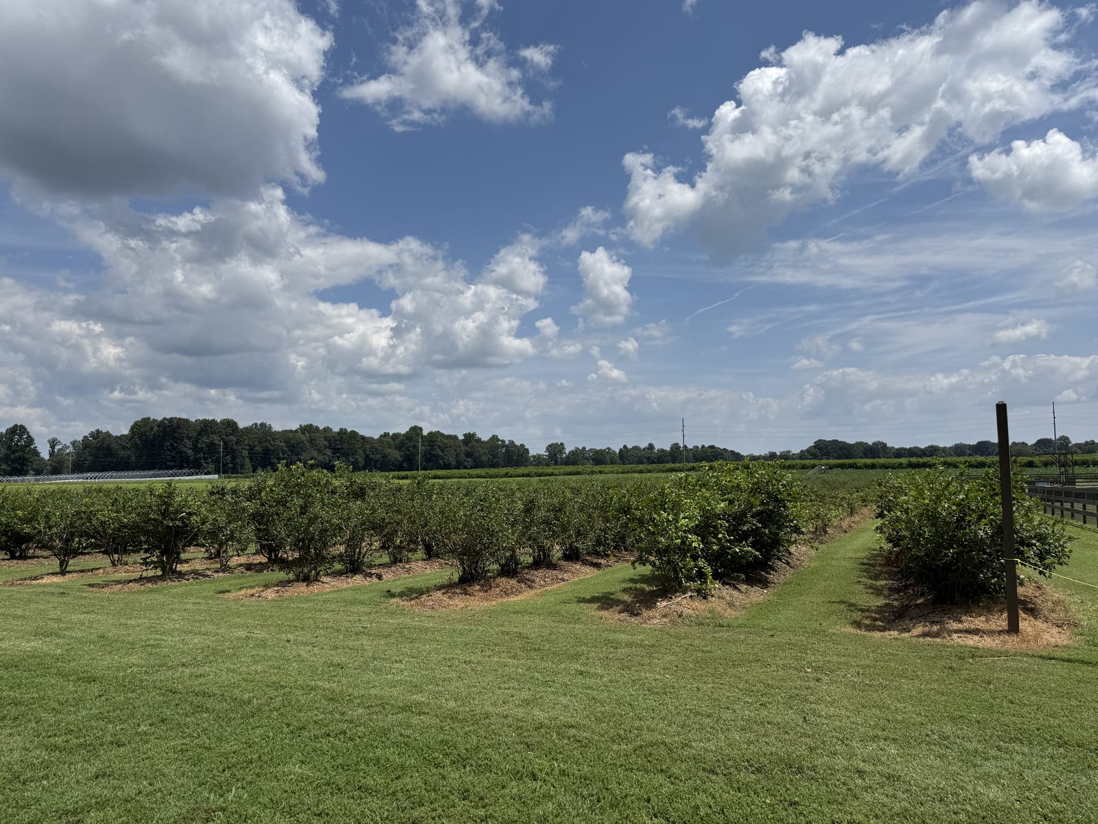 Farmland at Fifer Orchards in Camden-Wyoming, Delaware