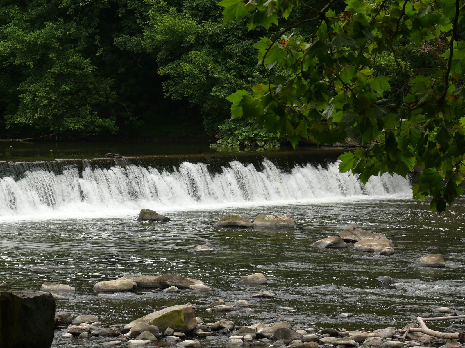 Brandywine Creek flowing through Hagley Museum grounds