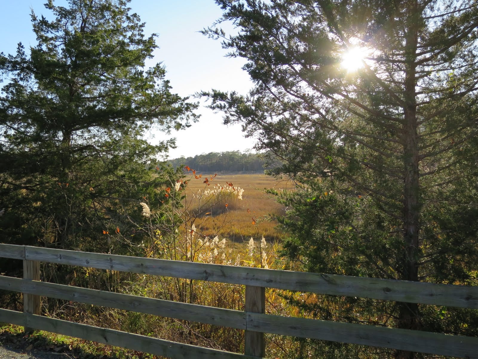 The paved Junction and Breakwater Trail between Lewes and Rehoboth, Delaware