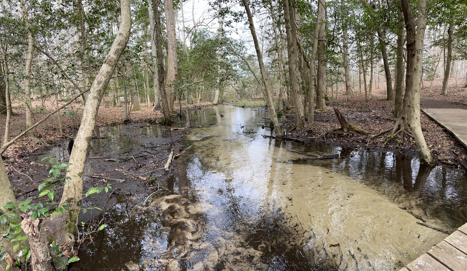 A panoramic view of the millpond at Killens Pond State Park, Felton, Delaware