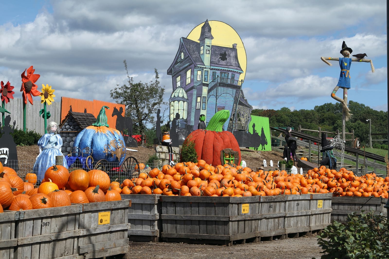 The Pumpkinland display at Linvilla Orchards in Media, Pennsylvania