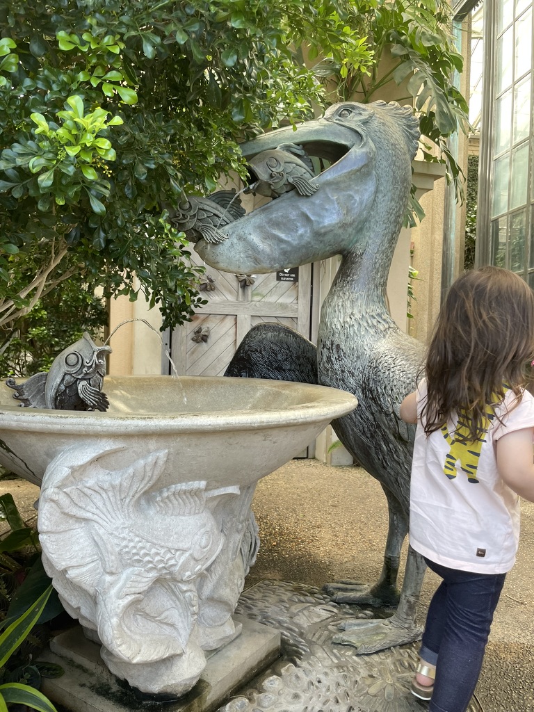 A young visitor watches a whimsical pelican and fish fountain in the Longwood Gardens Childrens Garden