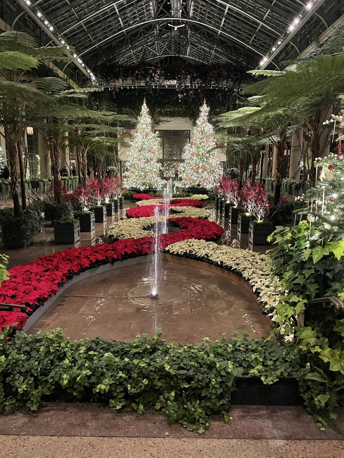 Longwood's conservatory decorated for the holidays, with red poinsettias, white trees and a fountain