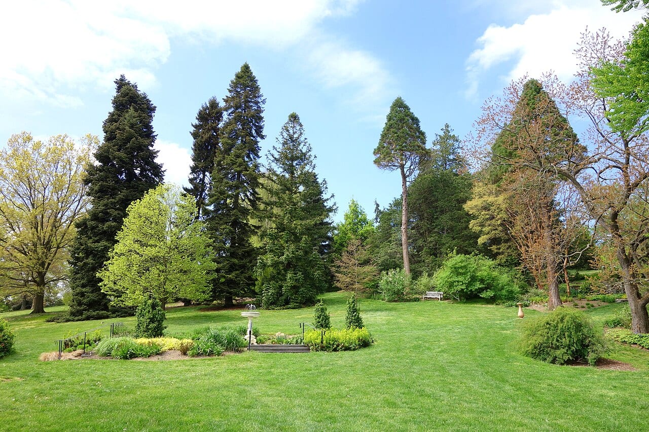 Morris Arboretum, 100 East Northwestern Avenue, Chestnut Hill, Philadelphia, Pennsylvania, USA.