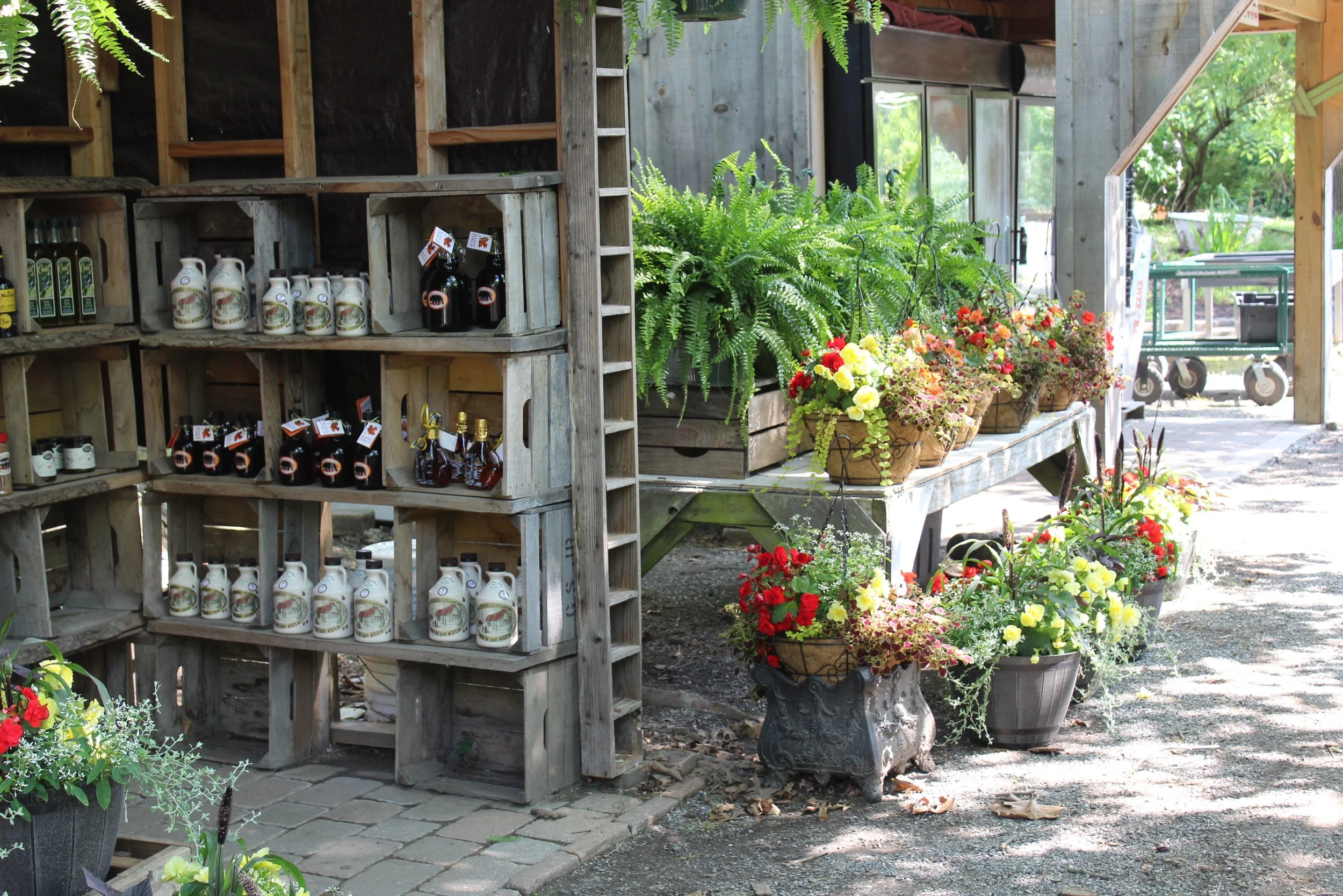 New Roots by Ramsey's Farm in Chadds Ford, PA