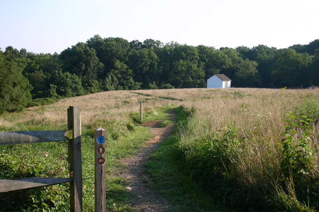 Bryan's Field trailhead at White Clay Creek State Park, a wooded path leading into the park.